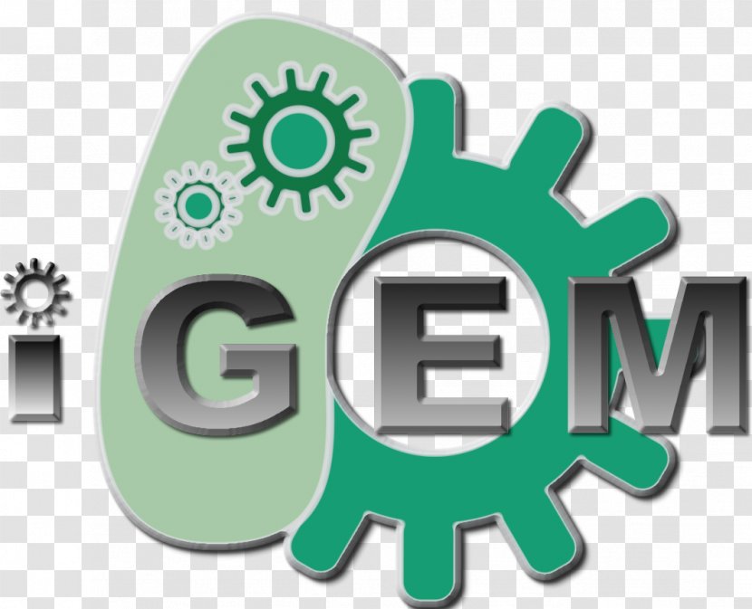 International Genetically Engineered Machine Plasmid Preparation Natural Competence Genetic Engineering - Brand - Macquarie University Logo Transparent PNG