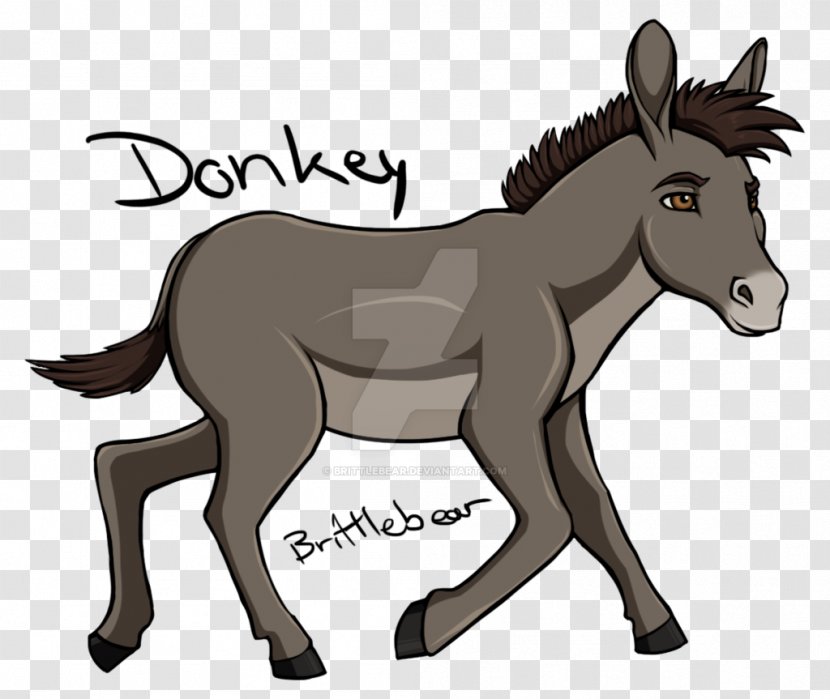 Mule Donkey Foal Pony Stallion - Art Transparent PNG
