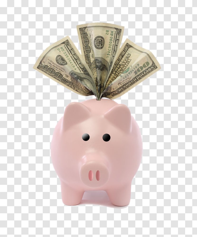 Piggy Bank Money United States Dollar Saving - Pink Pig Transparent PNG