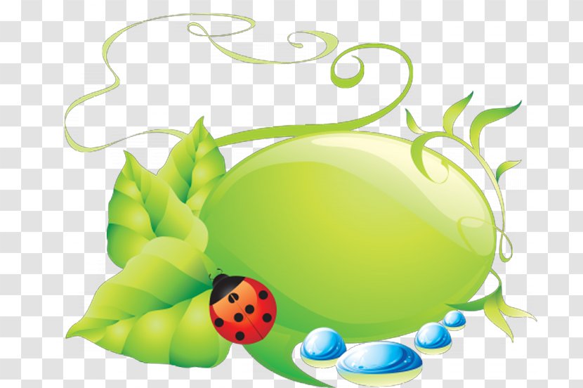 Ladybird Clip Art - Insect - Ladybug Transparent PNG