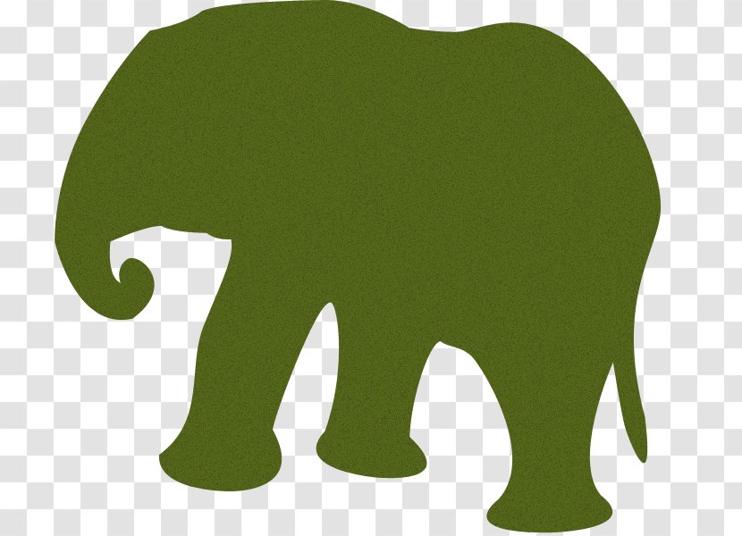 Indian Elephant African Tiger Hippopotamus Lion - Green Transparent PNG