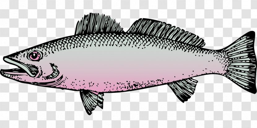 Clip Art Fishing Rainbow Trout - Salmon Like Fish Transparent PNG