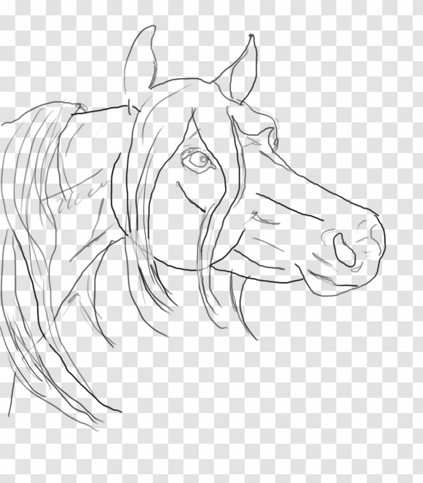 Line Art Arabian Horse Drawing Sketch - Tail - Head Transparent PNG