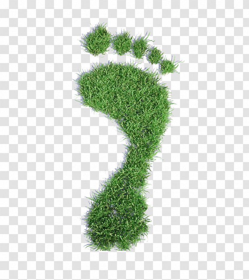 My Revision Notes: Edexcel A2 Geography AQA AS Geography: Notes AS/A-level OCR Biology Sustainable Living Explained - Footprints Grass Transparent PNG