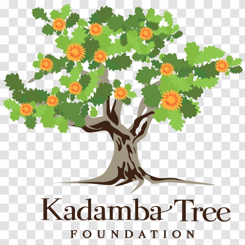 Neolamarckia Cadamba Branch Tree Wood Caregiver - Wework Logo Transparent PNG