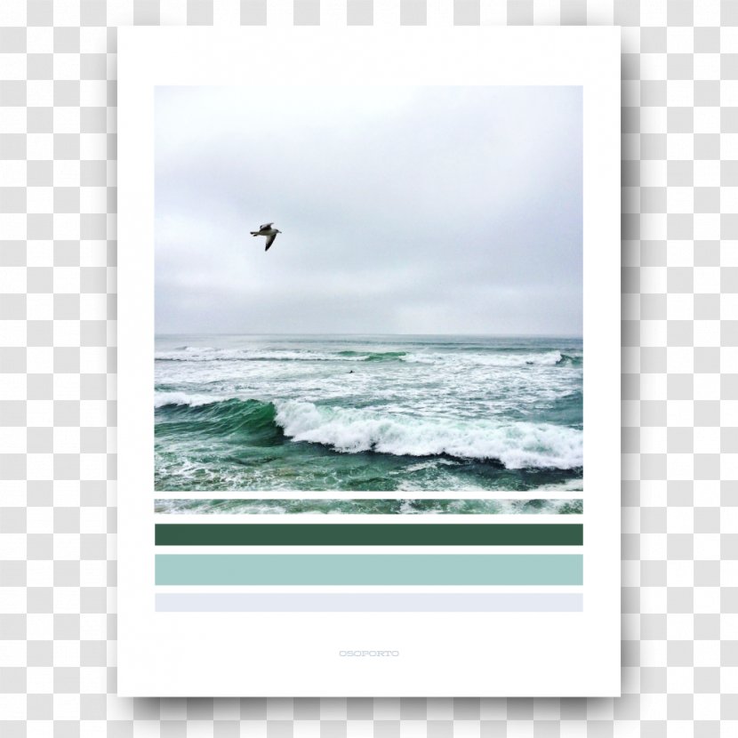 Sea Shore Poster Picture Frames White House - Green Color Transparent PNG