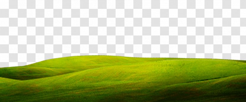 Green Close-up Wallpaper - Sky - Grass Background Transparent PNG