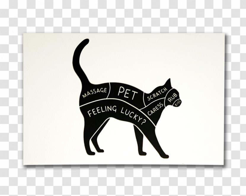 Cat Collar Leash Pet Horse - Black - Warm Wishes Transparent PNG