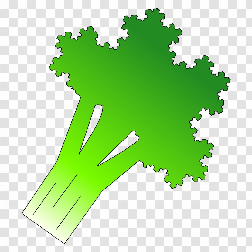 Broccoli Food Vegetable Clip Art Transparent PNG