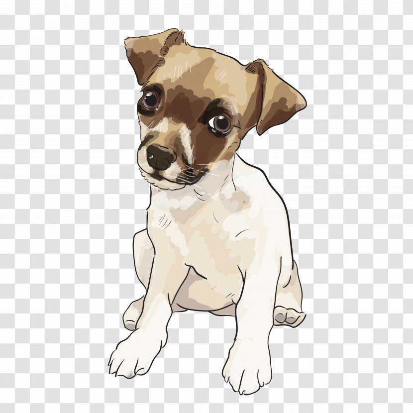 Dog Breed Jack Russell Terrier Toy Fox Miniature Rat - Brazilian - Puppy Transparent PNG