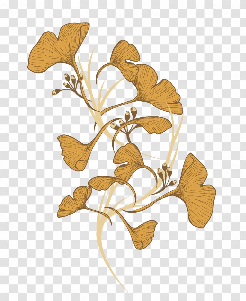 Illustration Floral Design Cut Flowers Graphic - Flowering Plant - Intelligence Transparent PNG