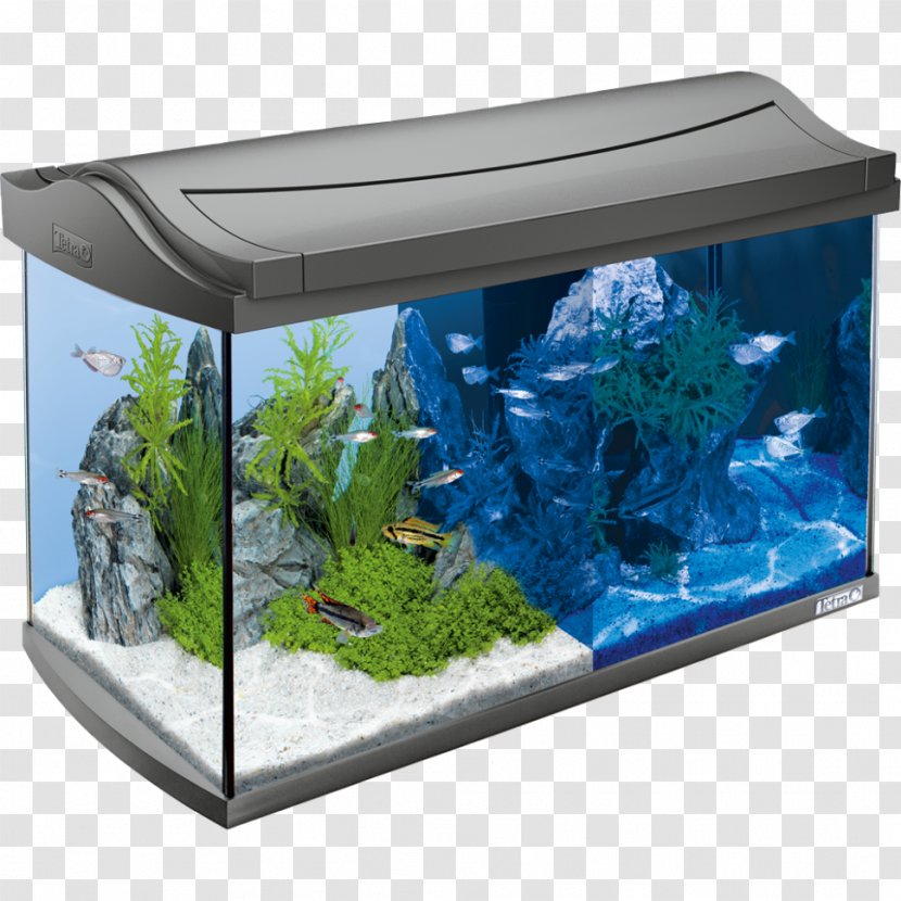 Aquarium Light-emitting Diode Tetra LED Lamp - Light Transparent PNG