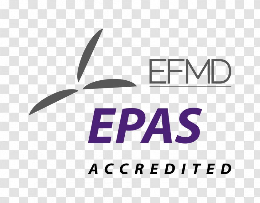 EFMD Quality Improvement System Educational Accreditation European Foundation For Management Development Business School Association Of MBAs - Area Transparent PNG