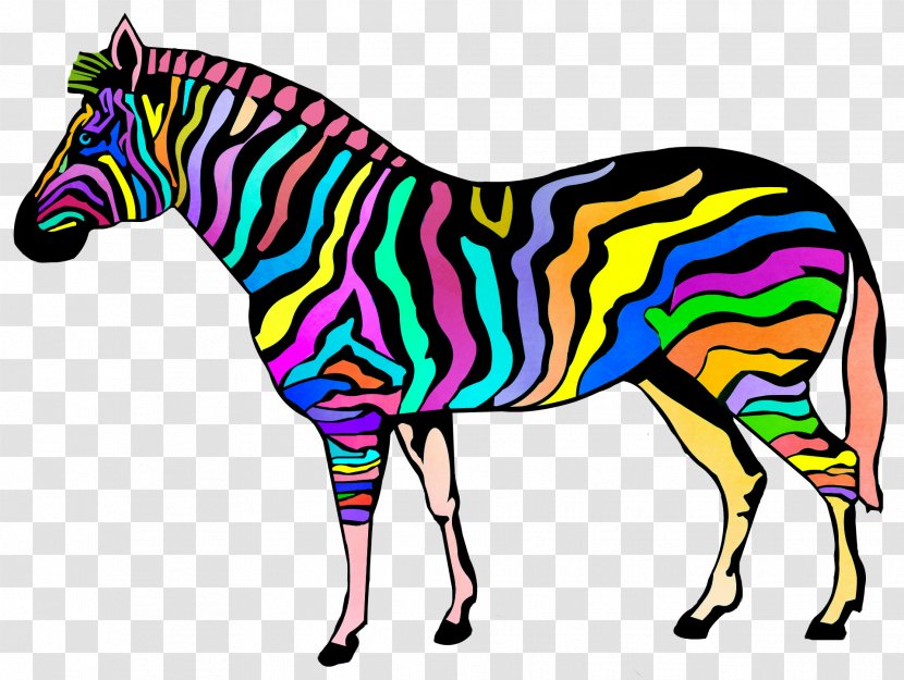 Coloring Book Zebra Child Stripe - Color Transparent PNG