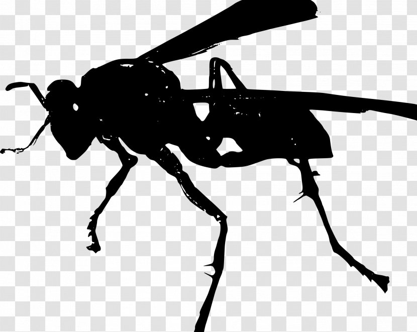 Insect Modern Solutions Wasp Hornet Bee Transparent PNG