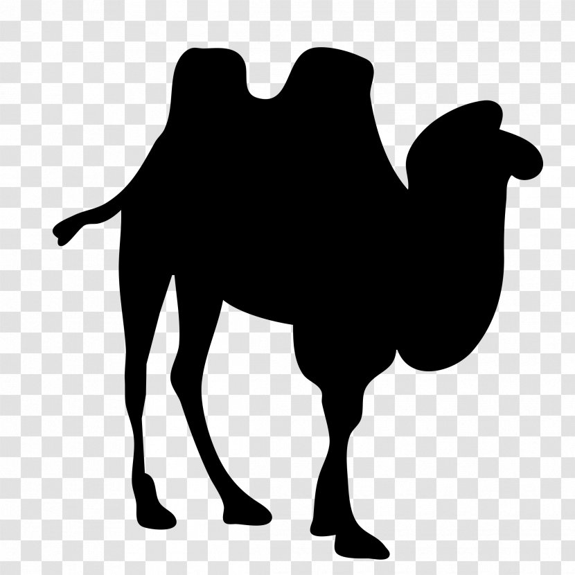 Bactrian Camel Dromedary Silhouette Clip Art - Black And White Transparent PNG