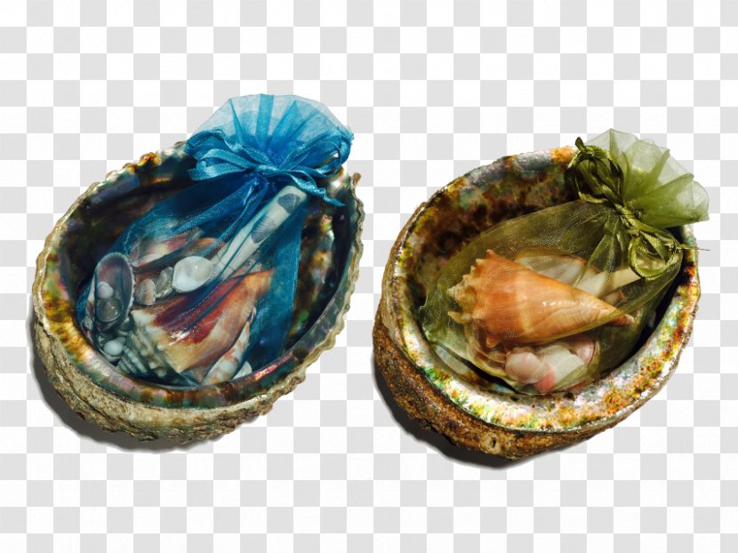 Mussel Clam Abalone - Clams Oysters Mussels And Scallops - Crystal Pendulum Transparent PNG