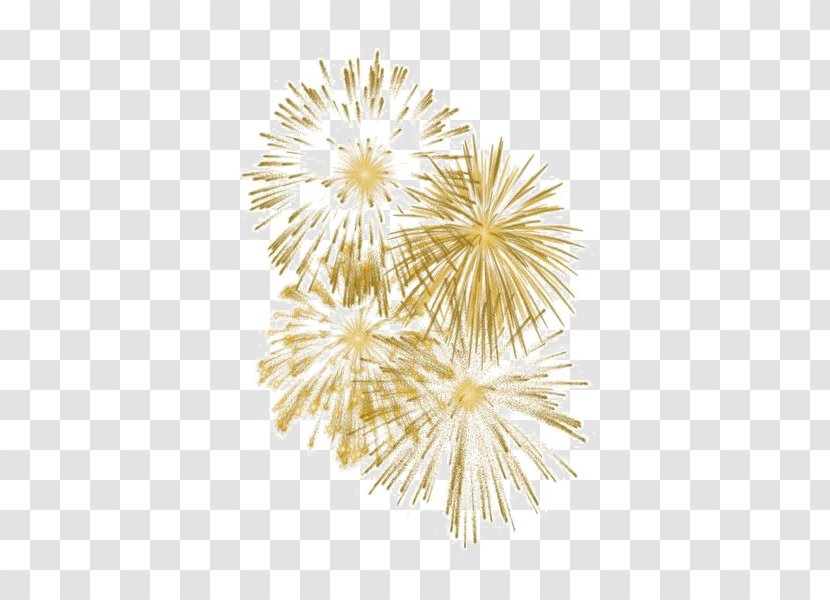 Transparency Clip Art Fireworks Image - New Year Transparent PNG