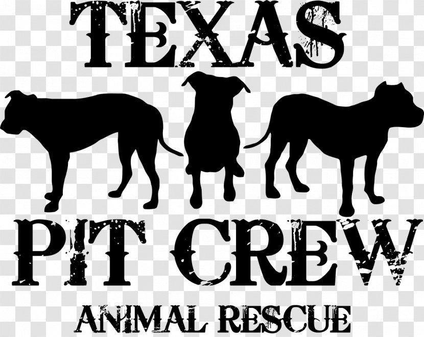 Dog Wichita Falls Pet Cat Veterinarian - Texas Transparent PNG