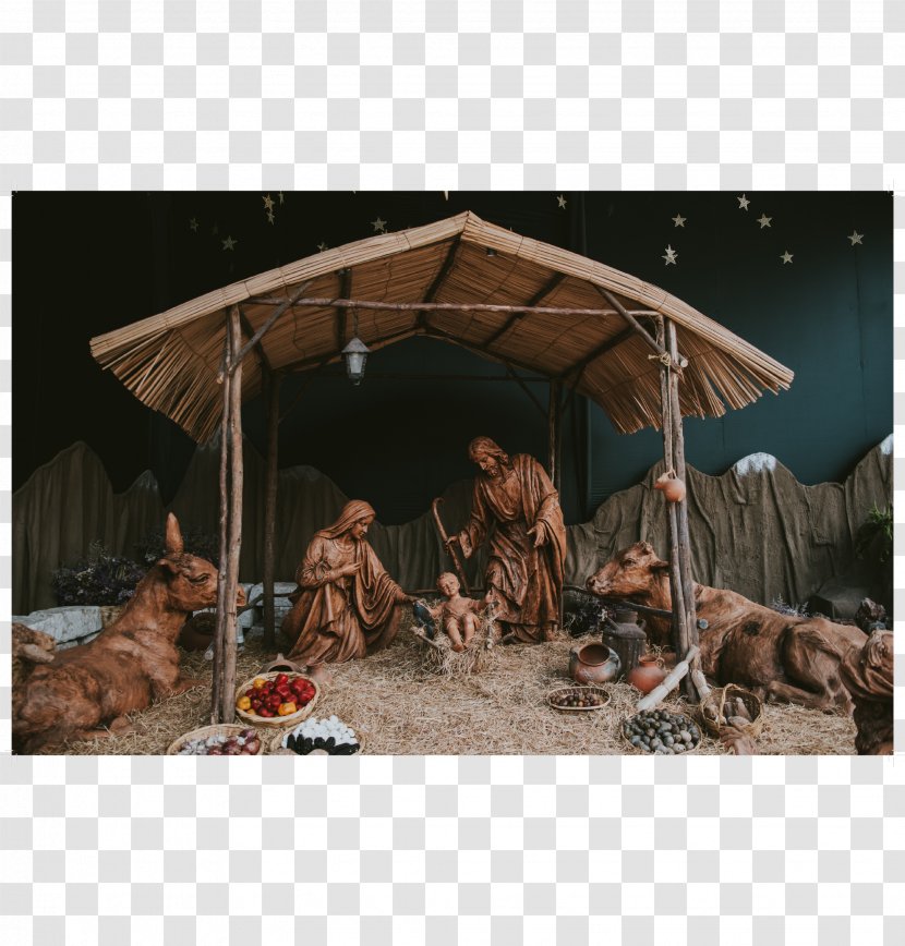Nativity Scene Christmas Gospel Of Luke Jesus Gift Transparent PNG