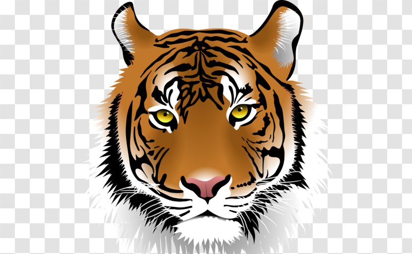 White Tiger Clip Art - Whiskers Transparent PNG