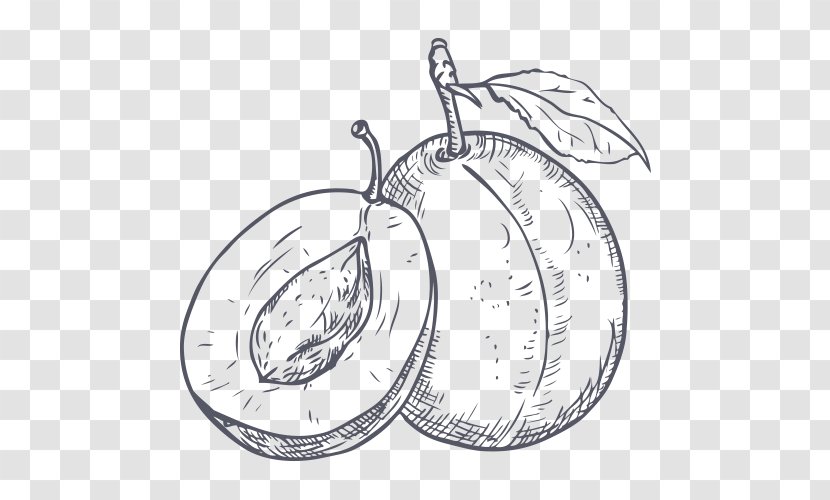 Plum Drawing Line Art Royalty-free - Plant Transparent PNG