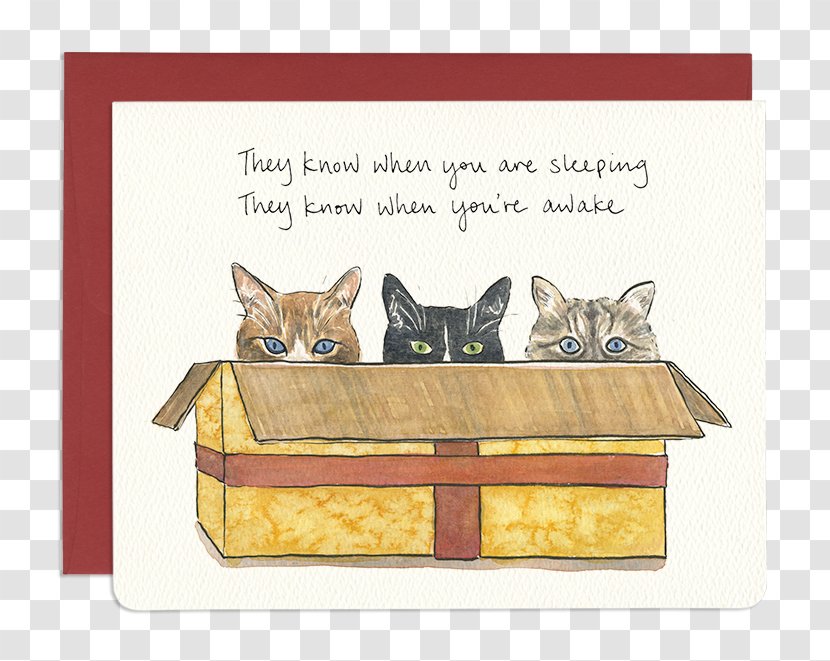 Kitten Whiskers Dog Cartoon Rectangle - Carnivoran - Bear Birthday Cards Transparent PNG