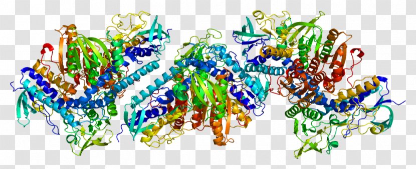 TXNRD1 Thioredoxin Reductase Logo Gene - Flavin Adenine Dinucleotide Transparent PNG