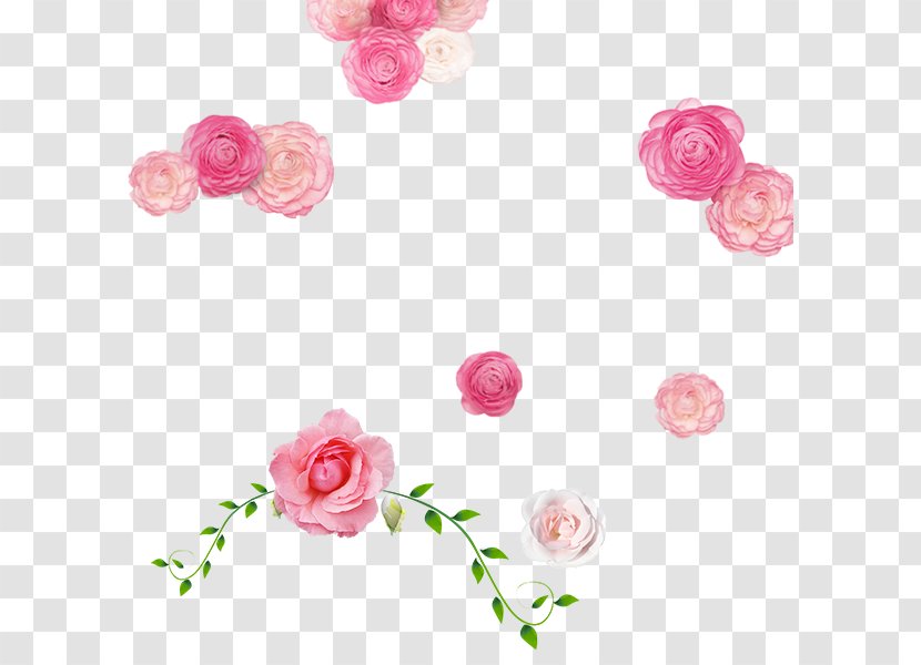 Garden Roses Rosa Chinensis Beach Rose Pink - Designer - Romantic Transparent PNG