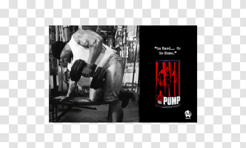 Bodybuilding Fitness Centre Mr. Olympia Olympic Weightlifting Weight Training - Poster Transparent PNG
