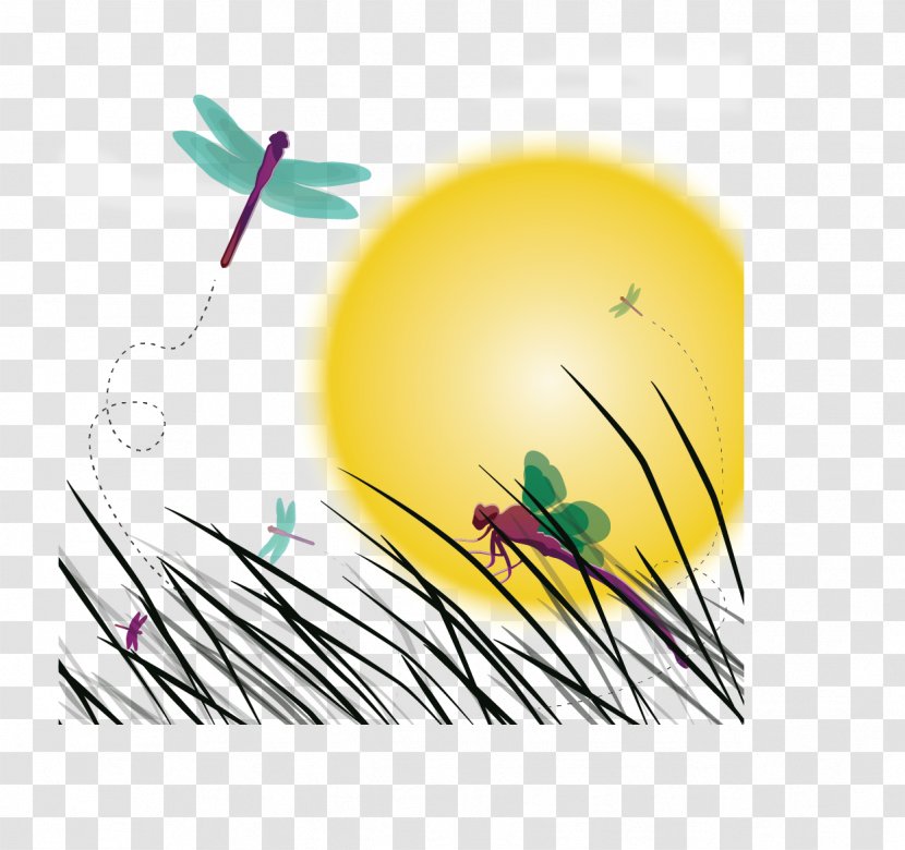 Insect Dragonfly Sunset Illustration - Landscape - Vector Scene Transparent PNG