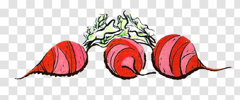 Beetroot Vegetable Clip Art - Kitchen Garden Transparent PNG