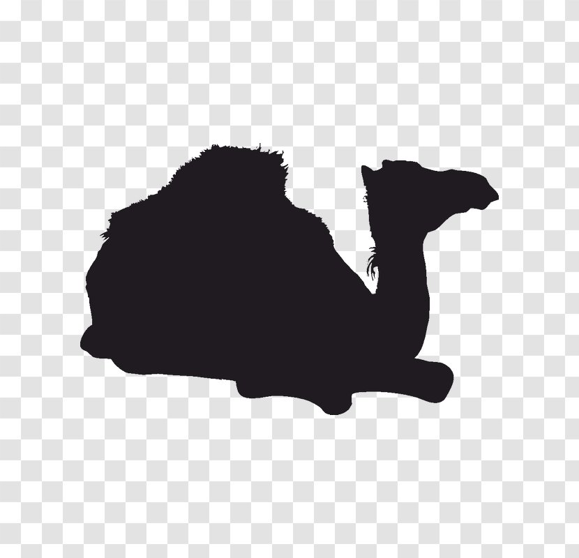 Silhouette Image Camel Chinchilla Logo - Black Transparent PNG