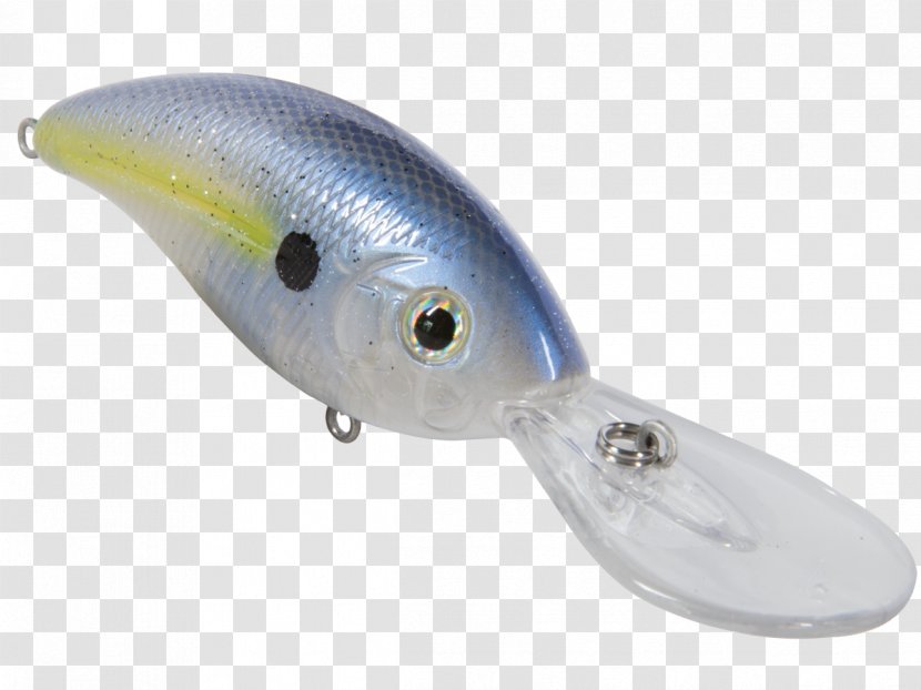 Fishing Baits & Lures Transparent PNG