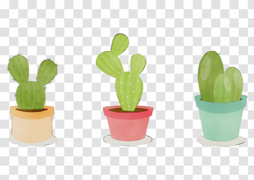 Cactus - Houseplant - Caryophyllales Prickly Pear Transparent PNG