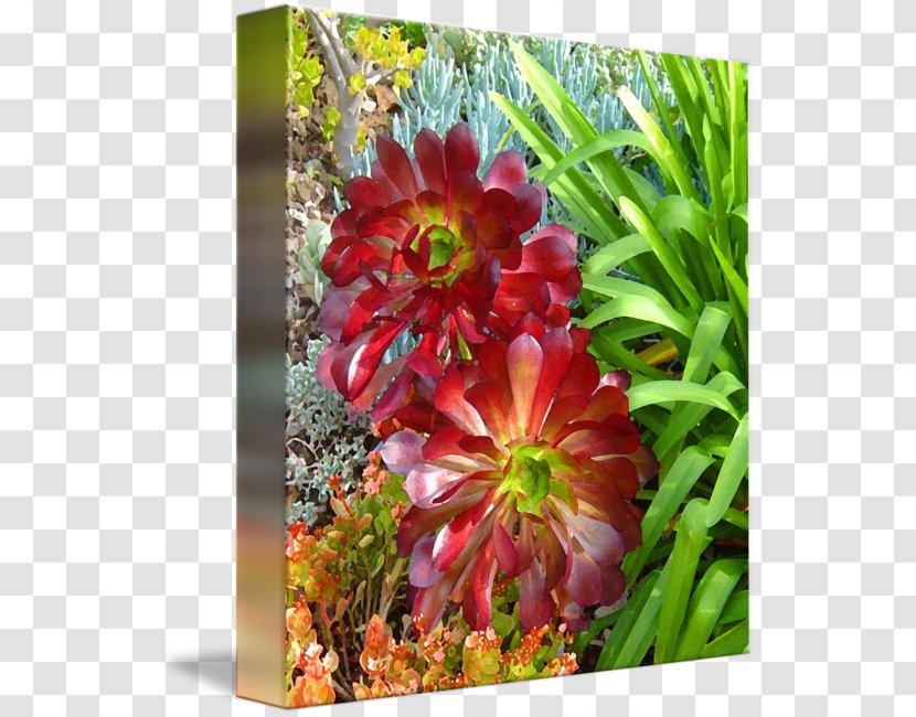Floral Design Art Painting Canvas Print - Cut Flowers Transparent PNG