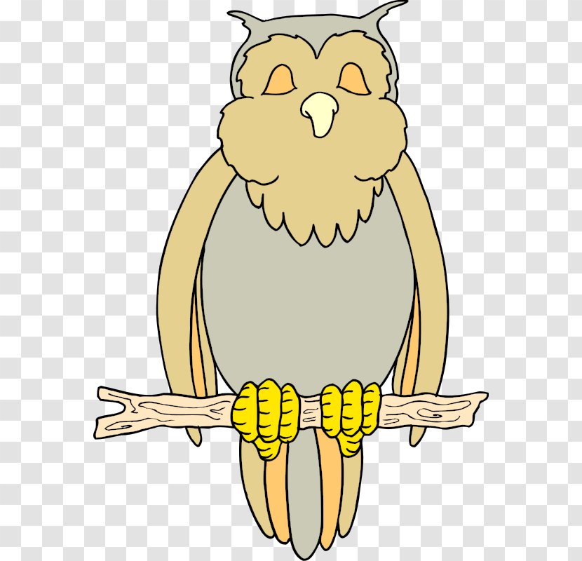 Owl Bird Drawing Clip Art - Paint By Number Transparent PNG