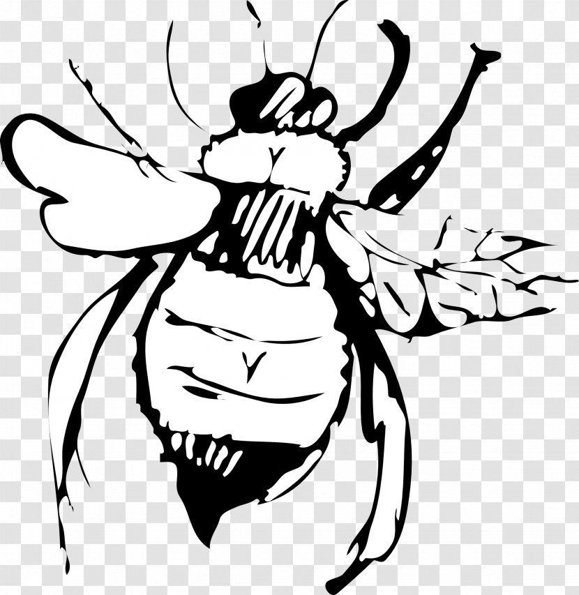 Bee Drawing Line Art Clip - Insect Transparent PNG