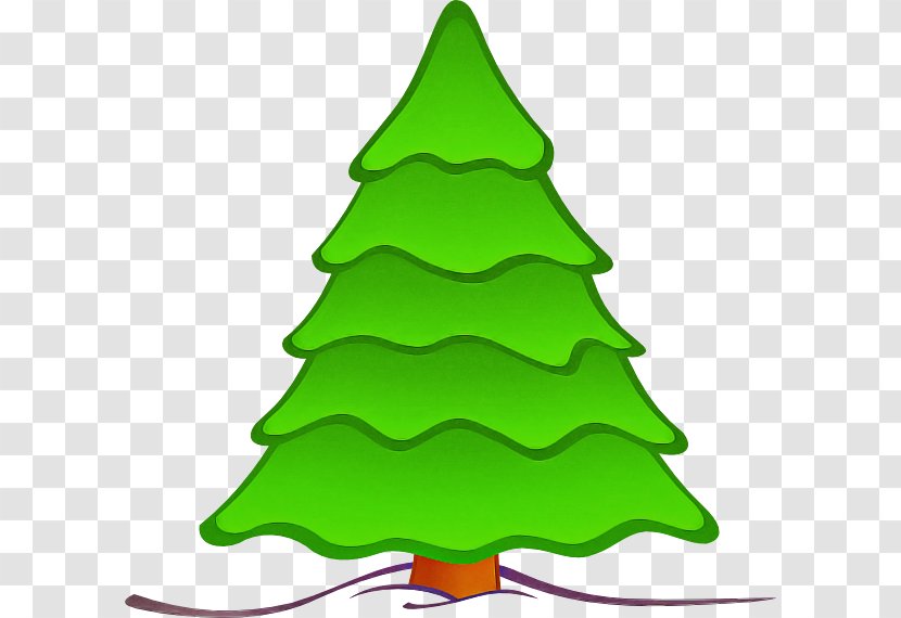 Christmas Tree - Colorado Spruce - Conifer Transparent PNG
