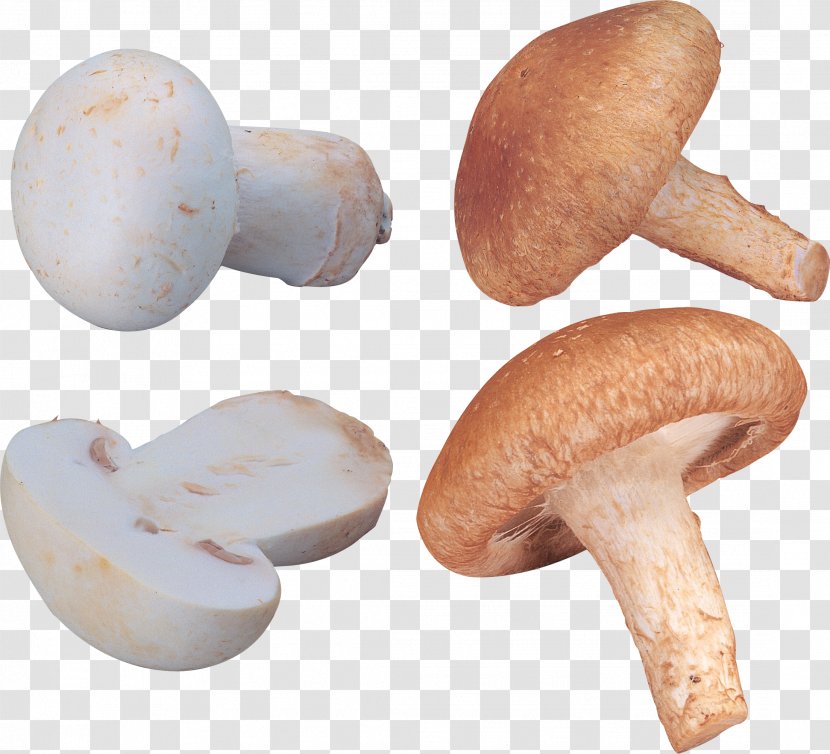 Common Mushroom Shiitake - Champignon - Image Transparent PNG