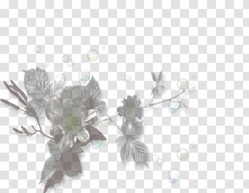 Twig Desktop Wallpaper Leaf Computer Petal Transparent PNG