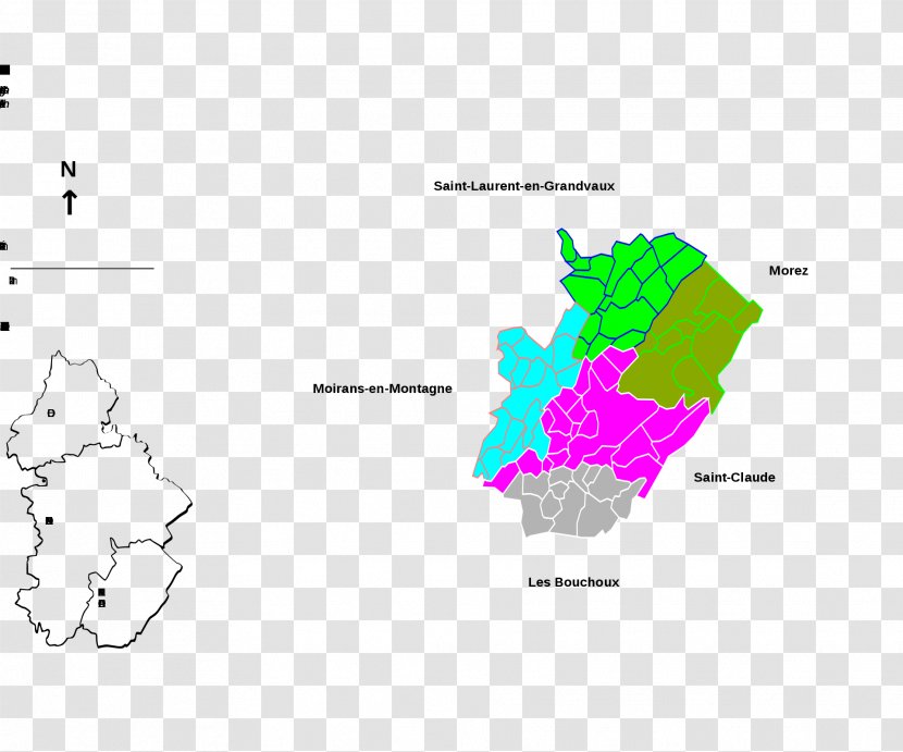 Map Tree Ecoregion Line - Diagram Transparent PNG