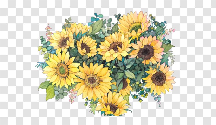 Common Daisy Sunflower Watercolor Painting Drawing - Flower Transparent PNG