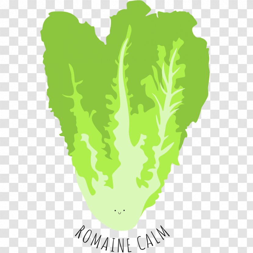 Greens Vegetable Design Pun Image - Organism - Romaine Transparent PNG