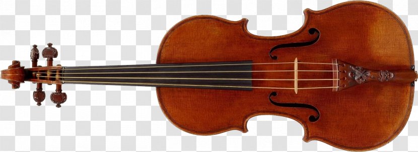 Bass Violin Violone Viola Double - String Instruments Transparent PNG