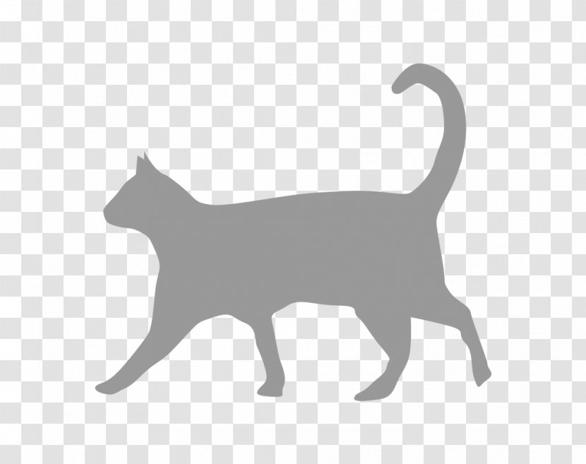 Cat Food Felidae Hyperthyroidism Feral - Kitten Transparent PNG