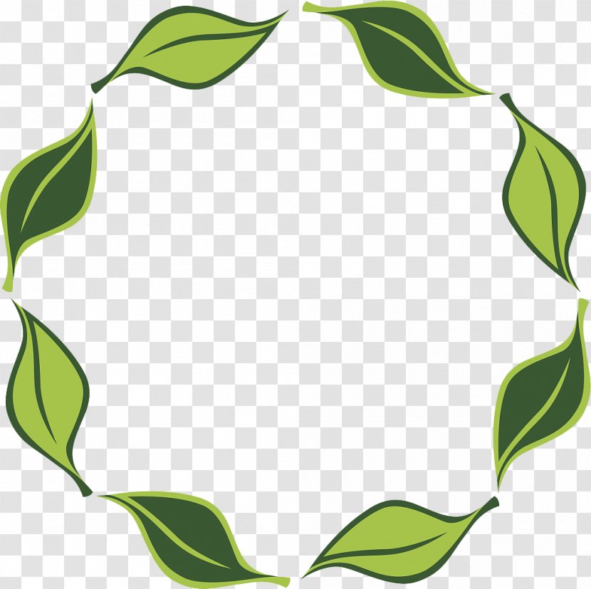 Circle - Leaf - Vector Transparent PNG