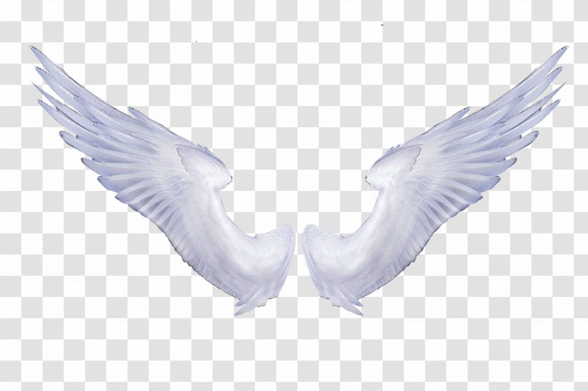 Angel Wings Clip Art Image Transparency - Supernatural Creature - Figure Transparent PNG
