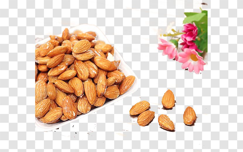 Almond Apricot Kernel Nut Food - And Flowers Transparent PNG