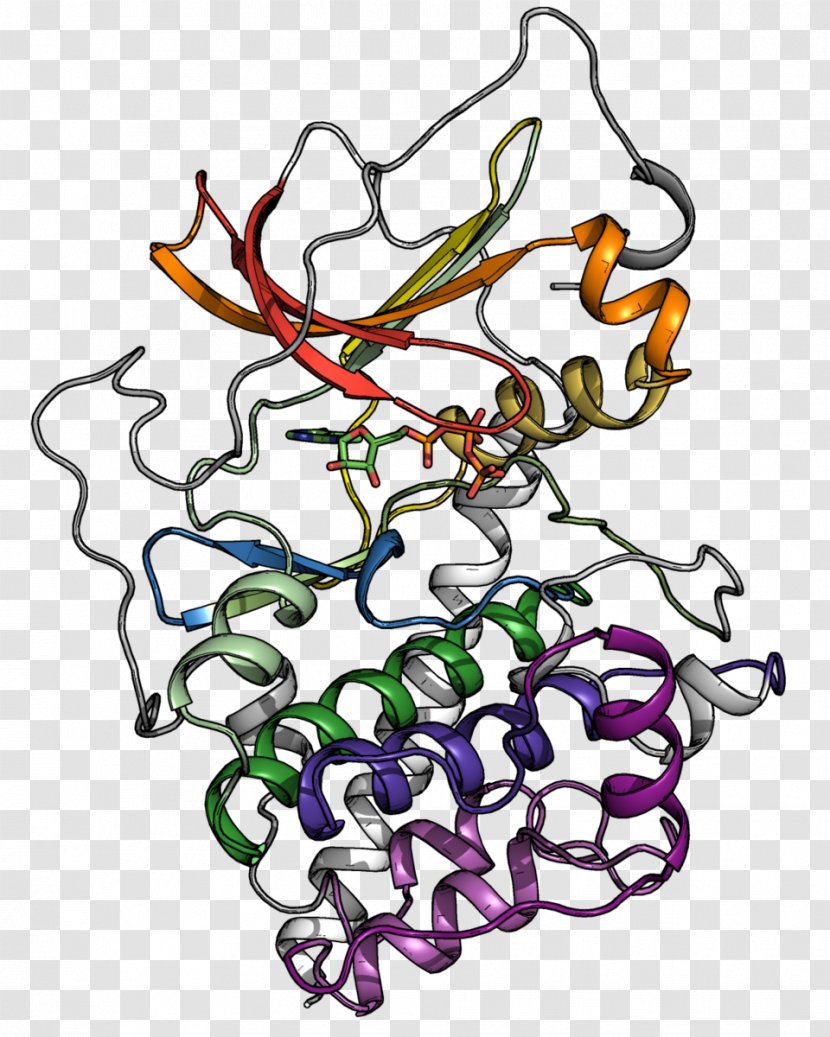 Protein Kinase Phosphorylation Adenosine Triphosphate Threonine - Pua Transparent PNG